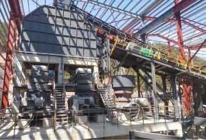 Tuff Sand Maker Plant