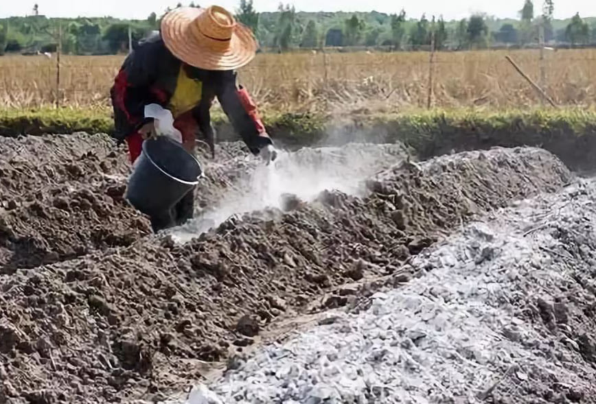 La piedra caliza triturada puede mejorar la calidad del suelo